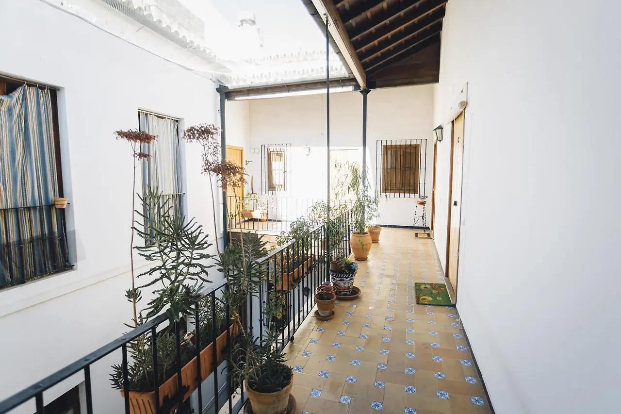 Appartement Casa De Las Golondrinas Hotel Sevilla Spanje